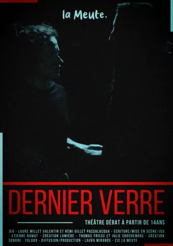 Affiche DV